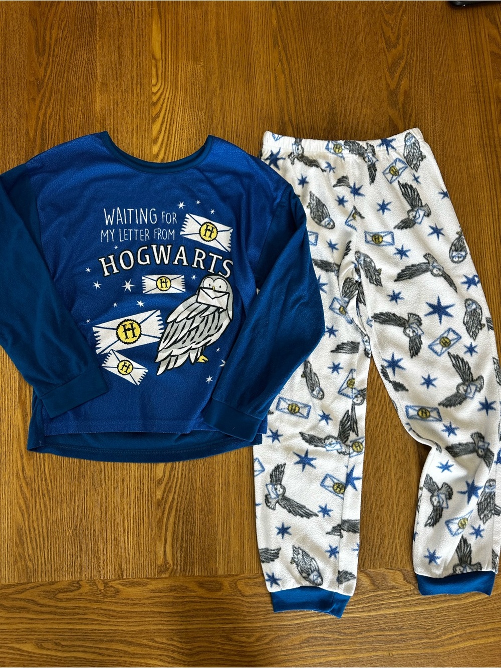 Warner Bros. Blue Hogwarts Owl Pajama Set - Harry Potter